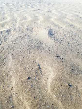 closeup of sand on the beach in morocco africaの写真素材