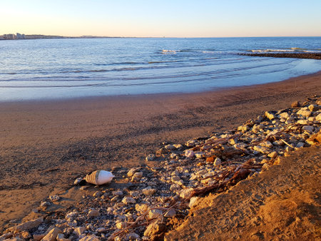 Coastline of the Baltic Sea in the evening, Poland.の写真素材