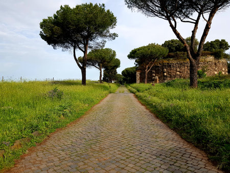 Rome, Italy. The ruins of the ancient Roman city.の写真素材