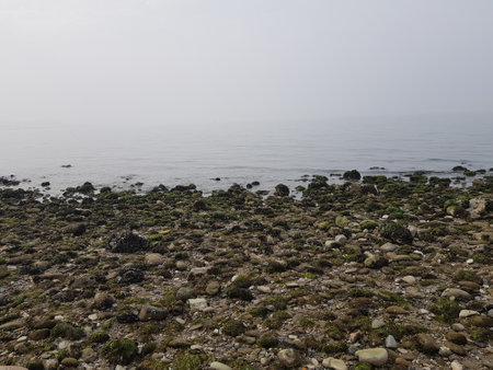 Rocky coast of the Baltic Sea in a foggy day.の写真素材