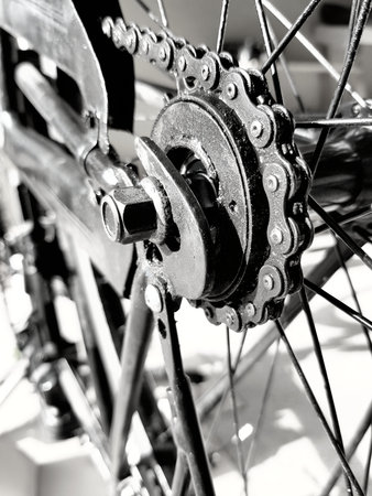 Bicycle wheel with chain and gear, monochrome image.