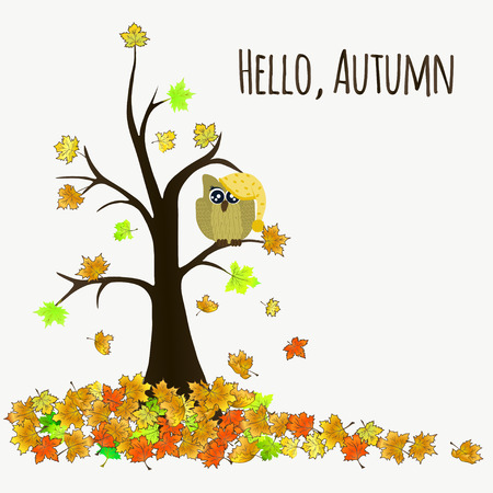 Tree with cartoon owl and falling maple leaves. For greeting card and invitation. Hello autumn.のイラスト素材