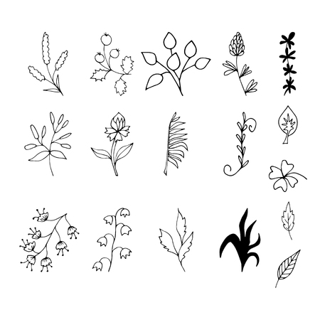 Set of hand drawn elements with floral elements and leaves, design  for invitations, greeting cards, quotes, blogs, posters.. Vector illustration.のイラスト素材