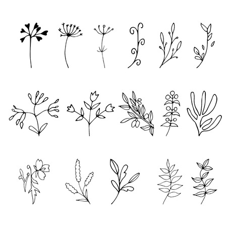 Set of hand drawn elements with floral elements and leaves, design  for invitations, greeting cards, quotes, blogs, posters.. Vector illustration.のイラスト素材