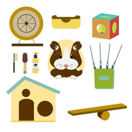 Hamsters care collection whith accessories, feed, isolated on white background. Vector illustration flat design.のイラスト素材