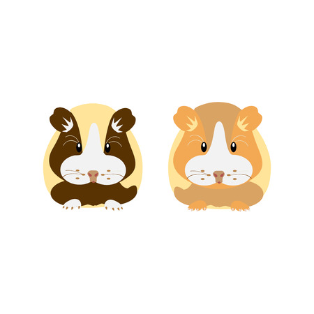 Hamster. Vector illustration flat design.のイラスト素材