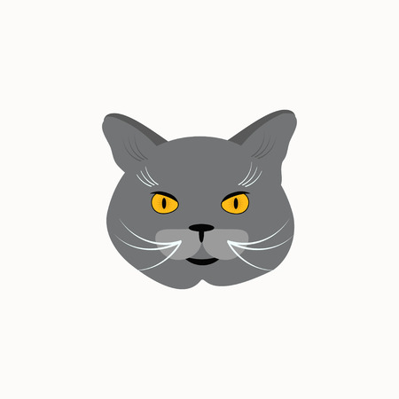 Cat breed British Shorthair face. Vector illustration.のイラスト素材