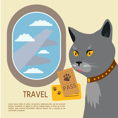 Cat  British Shorthair flies by plane whith pasport and ticket.  Vector illustration.のイラスト素材