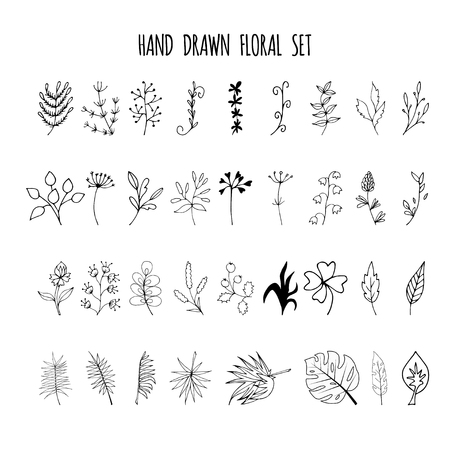 Set of hand drawn elements with floral elements and leaves, design  for invitations, greeting cards, quotes, blogs, posters. Decorative elements for design. Ink, vintage vectorのイラスト素材