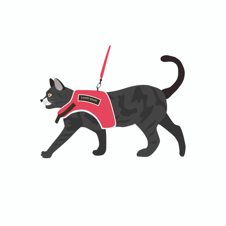 Vector illustration of cat icon with leash isolated on white background.のイラスト素材