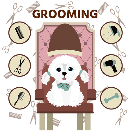 Lap-dog grooming. Dog in a grooming salon. Vector flat cartoon illustration.のイラスト素材