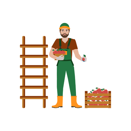 Vector illustration with gardener and stair, box apples. Concept of gardening.のイラスト素材