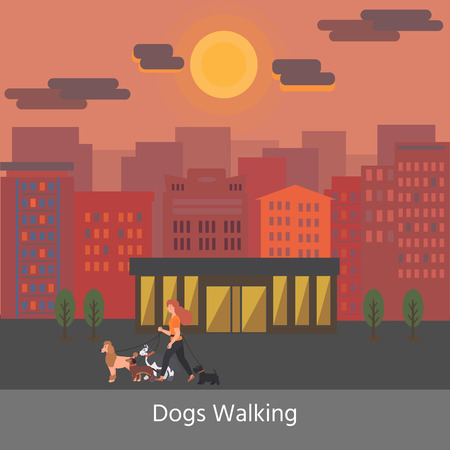 Dog walking service. Banner. Young Woman walking with a dogs different breeds: terrier, poodle, dachshund, husky. Vector Illustrationのイラスト素材