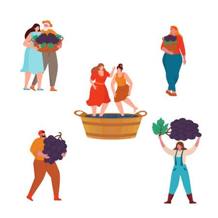Concept Of Wine Production. Cartoon small man and woman worker characters gardening, harvesting on Vineyard, stage of wine production. Vector Illustration for web page, presentation, print, bannerのイラスト素材