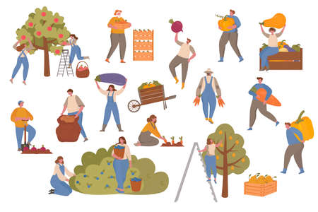 Male and Female Farmers Characters Harvesting on Farm. Vector illustration with small people for web page, presentation, print, banner. Farming, harvesting, collecting vegetables.のイラスト素材