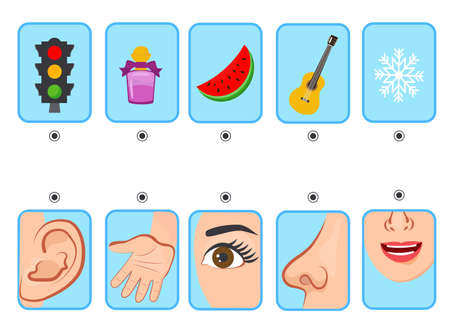 Game for kids. Cards. five senses. Sight, touch, hearing, smell and taste. preschool worksheet activity. Match of sense organs and objectsのイラスト素材