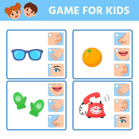 Game for children to develop logic. Five sense illustrations. Sight, hear, smell, taste, touch. Match of sense and organs objects.Activity for pre school years kids and toddlers.のイラスト素材