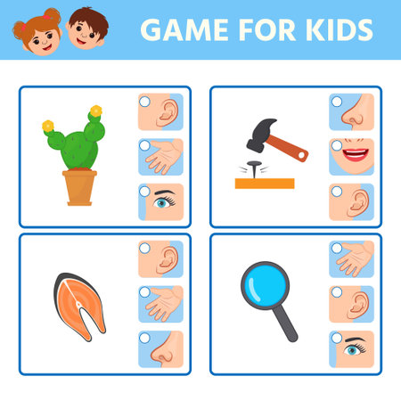 Game for children to develop logic. Five sense illustrations. Sight, hear, smell, taste, touch. Match of sense and organs objects.Activity for pre school years kids and toddlers.のイラスト素材
