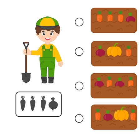 Educational logic kids game. Find vegetables in the garden with carrots, pumpkin, beet. Printable worksheet for kids brain teaser book. vector illustrationのイラスト素材
