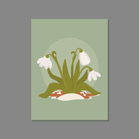 Snowdrops in the snow. Symbol of the arrival of spring. The first flowers.Vector illustration can be used like postcard or decoration.のイラスト素材