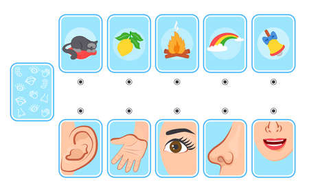 Game for kids. Cards. five senses. Sight, touch, hearing, smell and taste. preschool worksheet activity. Match of sense organs and objectsのイラスト素材