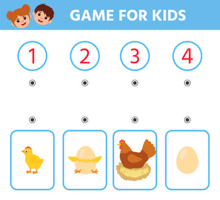 Education logic game for preschool kids. chicken life cycle. Arrange in order. printable worksheet. Children funny riddle entertainmentのイラスト素材