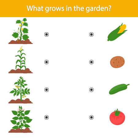 Matching children educational game. What grows in the garden Activity for preschool years kids and toddlers.のイラスト素材