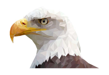 Polygonal illustration of bald eagle