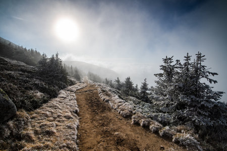 Winter scenery in the Karkonosze Mountainsの写真素材