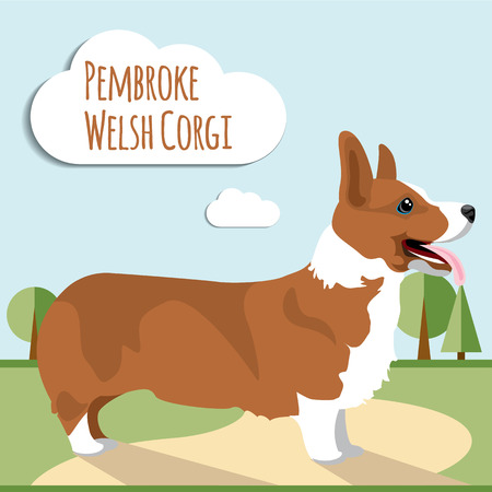 Welsh corgi pembroke vector illustrationのイラスト素材