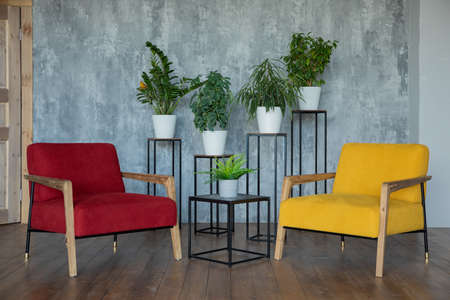red and yellow armchair with green plants against a gray wallの写真素材