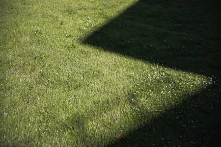 green grass and black rectangle shadow on itの写真素材