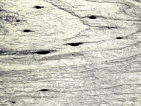 Old, cracked wood background : black and white abstract backgroundの写真素材