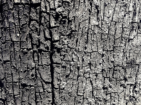 Old, cracked wood background : black and white abstract backgroundの写真素材