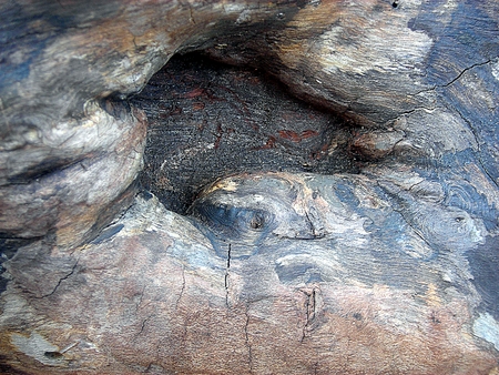 Old, cracked wood background