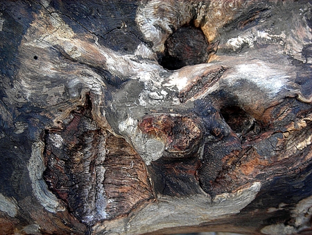 Old, cracked wood backgroundの写真素材
