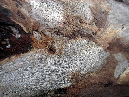 Old, cracked wood backgroundの写真素材