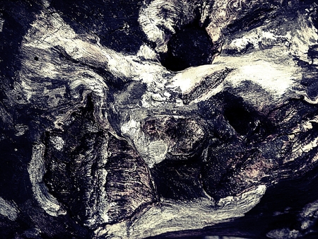 Old, cracked wood background : black and white abstract backgroundの写真素材