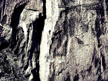 Old, cracked wood background----Black and white abstract backgroundの写真素材