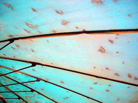 Outdoor Umbrella  Abstractの写真素材