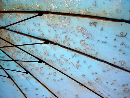 Outdoor Umbrella  Abstractの写真素材