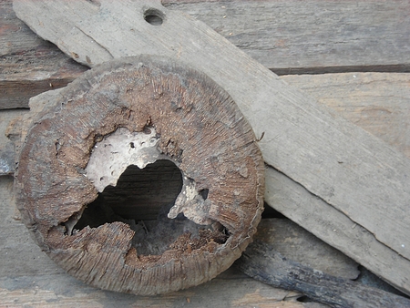 Desiccated Coconutの写真素材