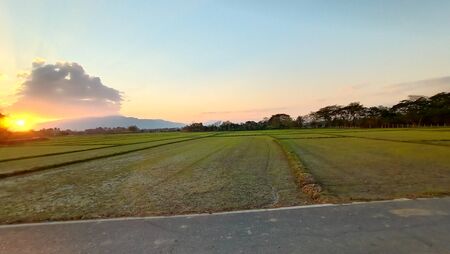 Sunset views and the rice field roadの写真素材