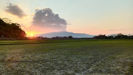 Sunset views and the rice field roadの写真素材