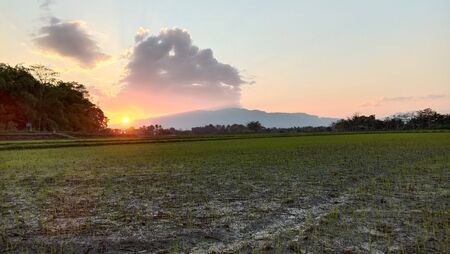 Sunset views and the rice field roadの写真素材