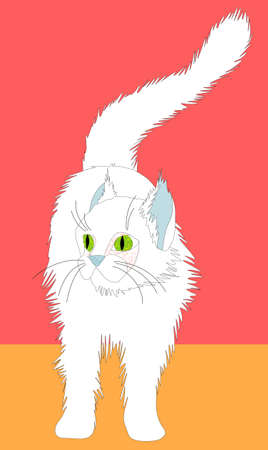 A bright illustration depicting a snow-white fluffy cat. Printのイラスト素材