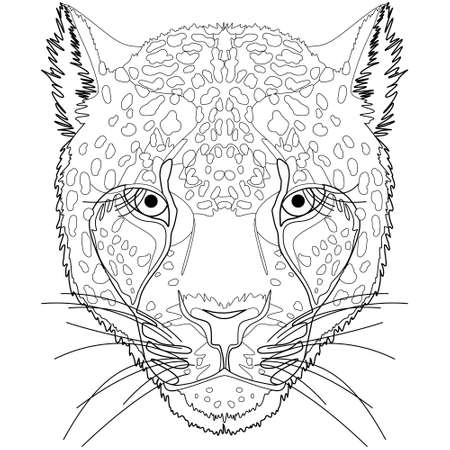 coloring page with the image of a stylized leopard head. Hobbies and entertainment.のイラスト素材