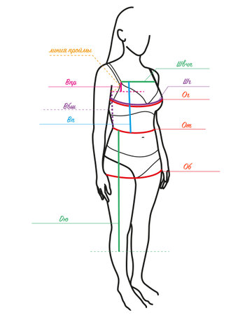 Schematic female figure with measurement parameters for building a sewing patternのイラスト素材