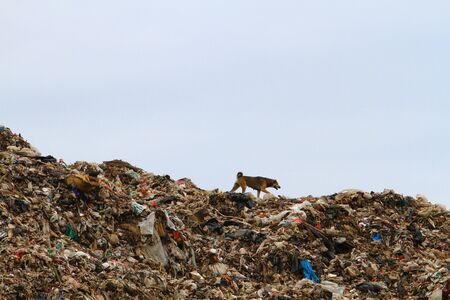 Many junk the size of a mountain in Thailand