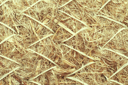 Close up of straw texture for background. Natural organic background. Toned.の写真素材